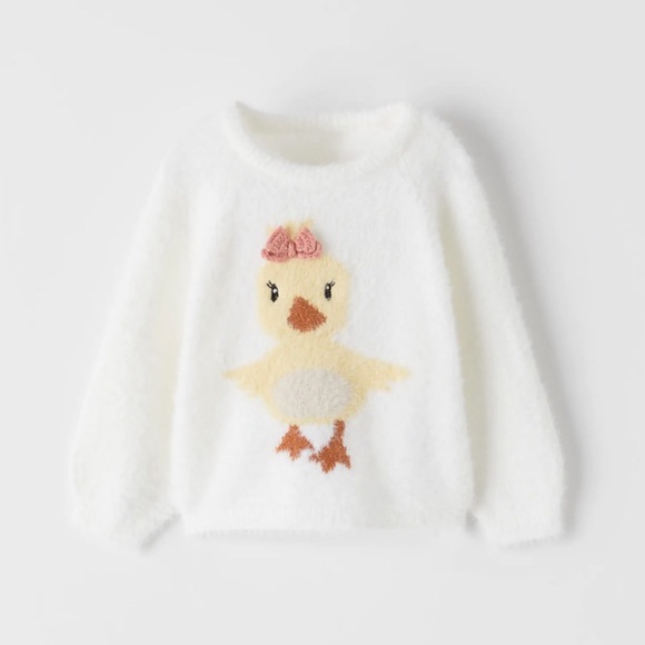Zara Toddler Girl Duck Sweater | Poshmark